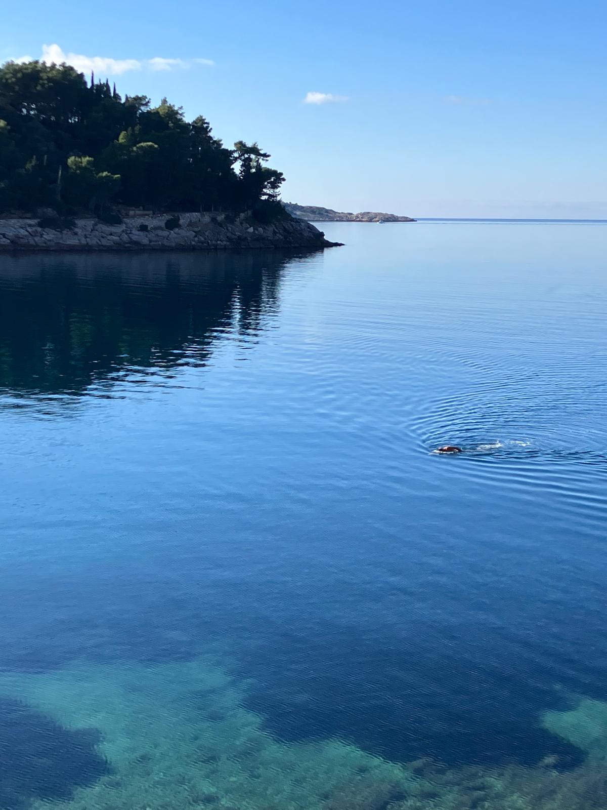 Apartments Regina near Cavtat old town